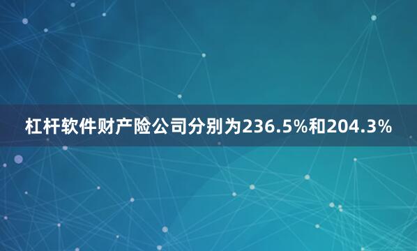 杠杆软件财产险公司分别为236.5%和204.3%