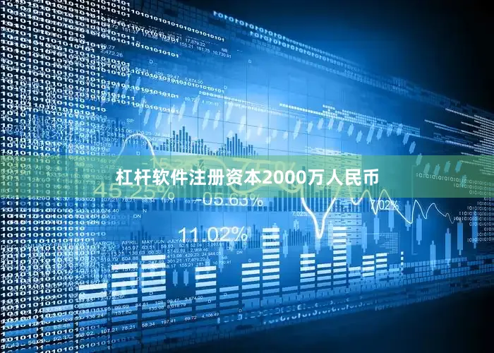 杠杆软件注册资本2000万人民币